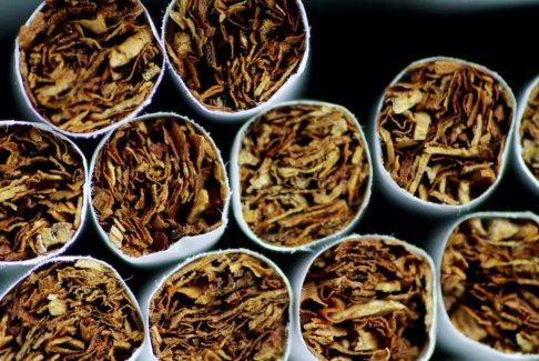 新西蘭法律規(guī)定2009年出生的人禁止購買煙草