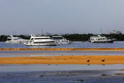 颶風(fēng)比帕喬伊迫使印度西海岸75000人撤離