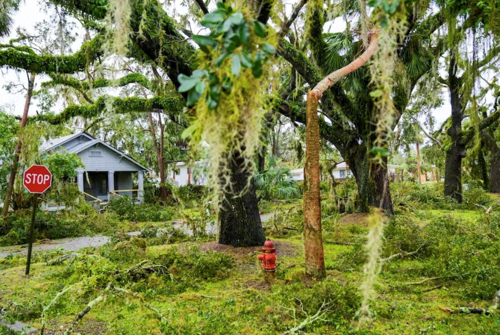 佛羅里達(dá)州墨西哥灣沿岸颶風(fēng)伊達(dá)利亞災(zāi)后清理重建