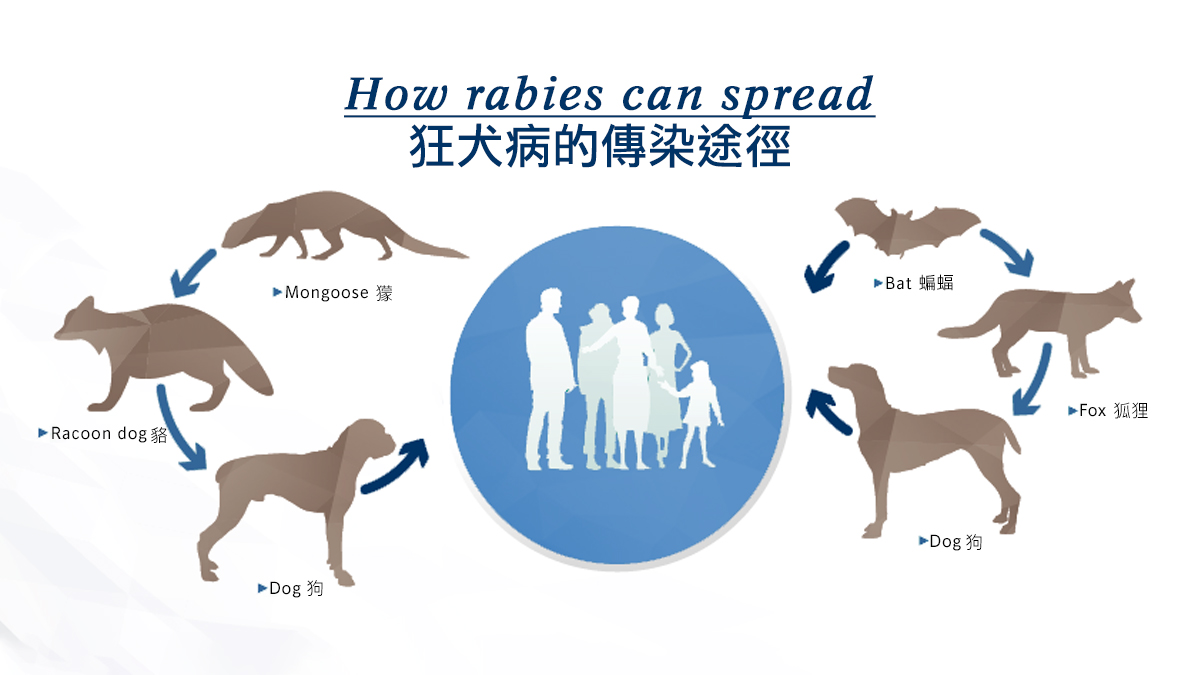 男童被鄰居家狗抓傷確診狂犬病離世