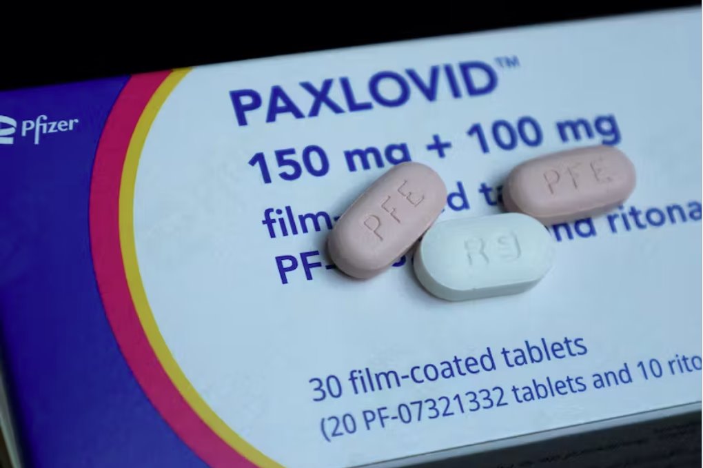 輝瑞新冠肺炎藥物Paxlovid