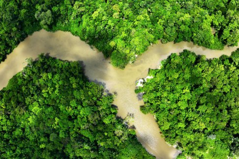 巴西亞馬遜地區(qū)的森林砍伐降至2018年以來的最低水平